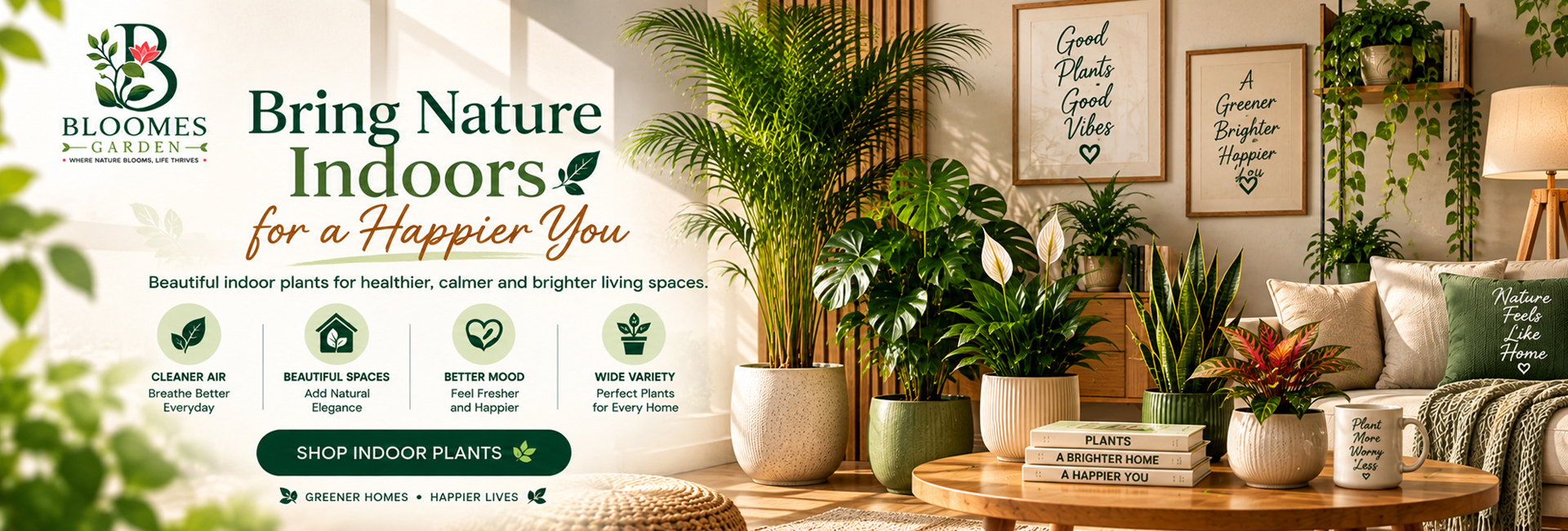 Bloomes Garden Indoor Plants